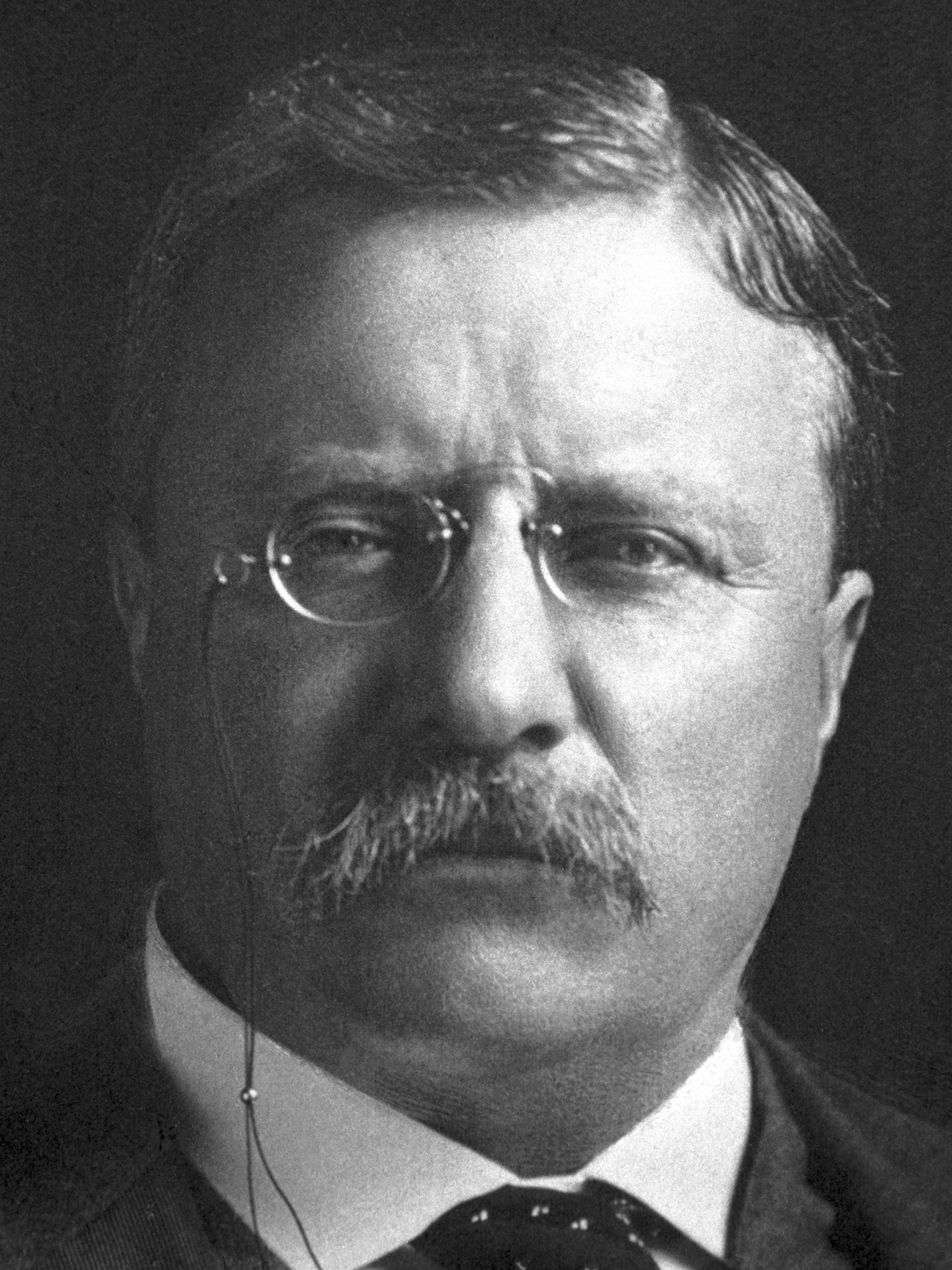 Theodore Roosevelt