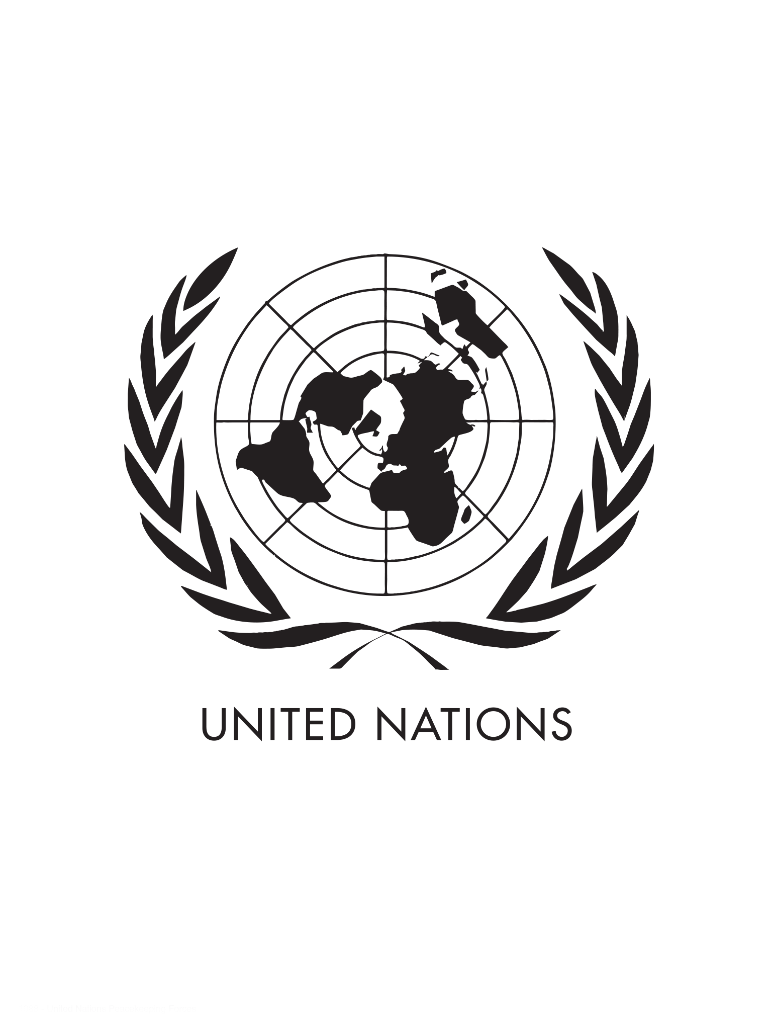 The United Nations Peacekeeping Forces